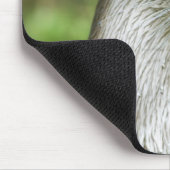 Tapis De Souris Loutre (Coin)