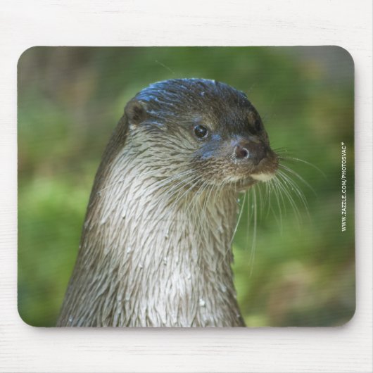Tapis De Souris Loutre (Devant)