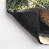 TAPIS DE SOURIS LOUTRES (Coin)