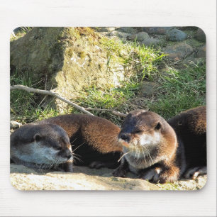 TAPIS DE SOURIS LOUTRES