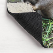 TAPIS DE SOURIS LOUTRES (Coin)