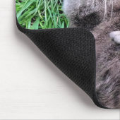 TAPIS DE SOURIS LOUTRES (Coin)