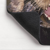 Tapis De Souris Loutres de mer, Enhydra lutris 6 (Coin)