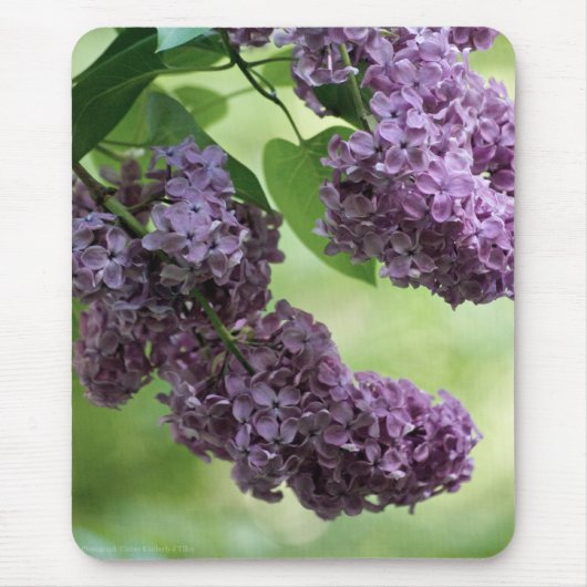 Tapis De Souris Lovely Spring Mousepad (Devant)