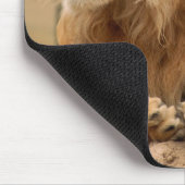 Tapis De Souris Löwe mit Punkerfrisur (Coin)