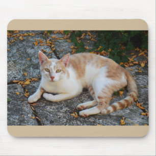 Tapis De Souris Lucky le beau chat