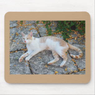 Tapis De Souris Lucky Wake cat