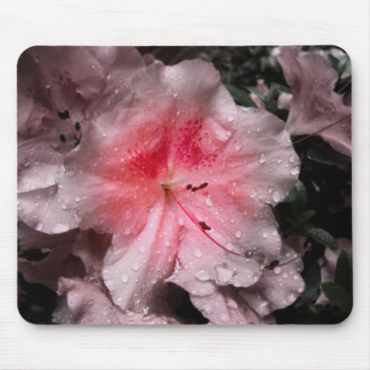 Tapis De Souris Lueur intérieure Mousepad (Devant)