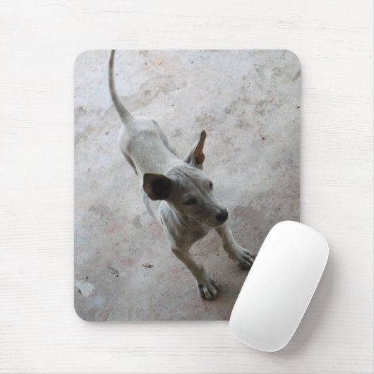 Tapis De Souris Luk Maa ... Chien chiot thaïlandais Soi (Avec souris)