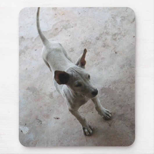 Tapis De Souris Luk Maa ... Chien chiot thaïlandais Soi (Devant)