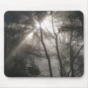 Tapis De Souris Lumière du soleil à travers les arbres bois sombre