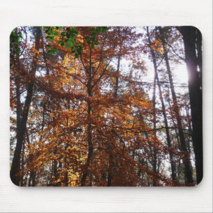 Tapis De Souris Lumière du soleil à travers un arbre d'automne à G