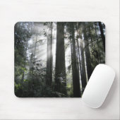 Tapis De Souris Lumière du soleil par les séquoias (Avec souris)