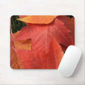Tapis de souris lumineux de feuille (Avec souris)