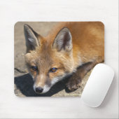 Tapis de souris Luna Fox (Avec souris)