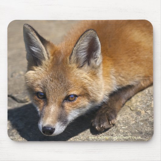 Tapis de souris Luna Fox (Devant)