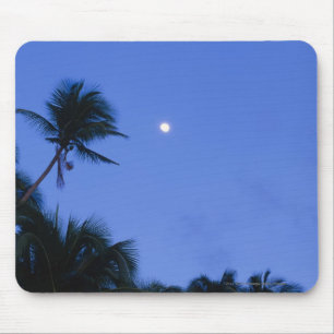 Tapis De Souris Lune brillamment allumée, silhouette des arbres d