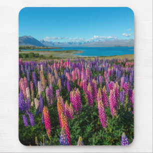 Tapis De Souris Lupines de Russle au lac Tekapo Nouvelle Zélande