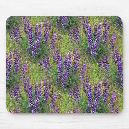 Tapis De Souris Lupines Galore... (Devant)