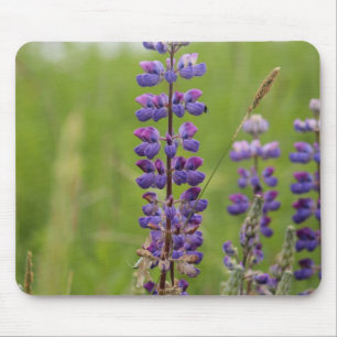 Tapis De Souris Lupins Alaskans lavande