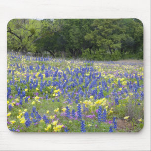 Tapis De Souris Lupins, primevère et phlox