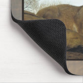 Tapis De Souris lynx 2 de zoo (Coin)