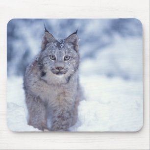 Tapis De Souris Lynx dans la neige au pied des collines