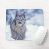 Tapis De Souris Lynx dans la neige dans les contreforts (Avec souris)