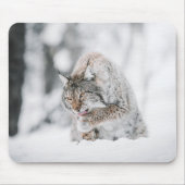 Tapis De Souris Lynx de neige (Devant)