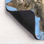 Tapis De Souris Lynx espiègle (Coin)