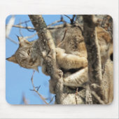 Tapis De Souris Lynx espiègle (Devant)