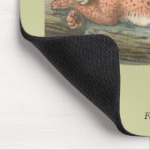Tapis De Souris Lynx, Felis lynx (Coin)