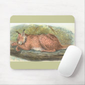 Tapis De Souris Lynx, Felis lynx (Avec souris)