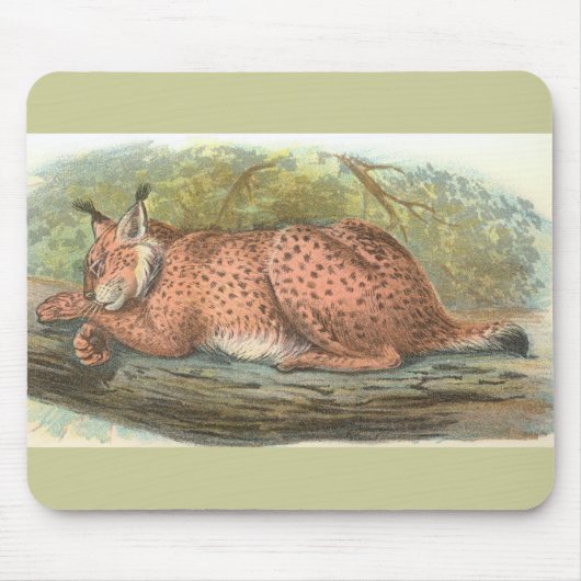 Tapis De Souris Lynx, Felis lynx (Devant)