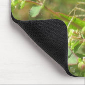 Tapis De Souris Lynx Spider (Coin)