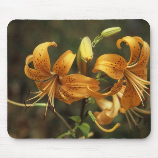 Tapis De Souris Lys (Devant)