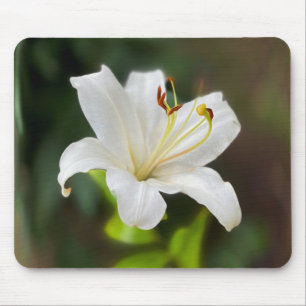 Tapis De Souris Lys blanc crépusculaire