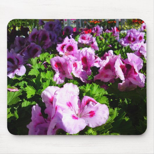 Tapis De Souris Lys blanc et rouge (Devant)