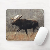 Tapis De Souris M10 Bull Moose (Avec souris)