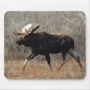 Tapis De Souris M10 Bull Moose