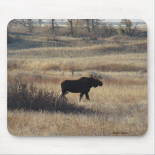 Tapis De Souris M5 Bull Moose