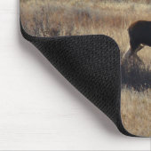 Tapis De Souris M5 Bull Moose (Coin)