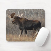 Tapis De Souris M8 Orignal dans les broussailles (Avec souris)