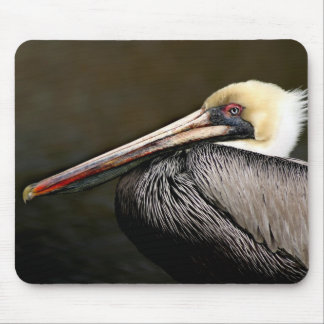 Tapis De Souris M. Attitude - Brown Pelican Mousepad