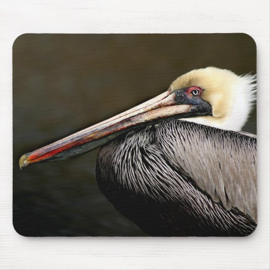 Tapis De Souris M. Attitude - Brown Pelican Mousepad (Devant)