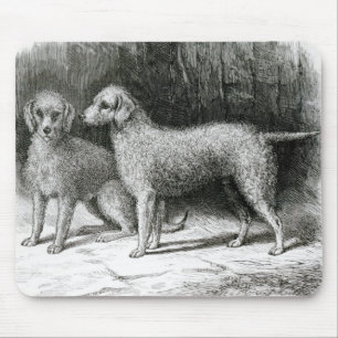 Tapis De Souris M.F. Armstrong de chiens terriers de Bedlington