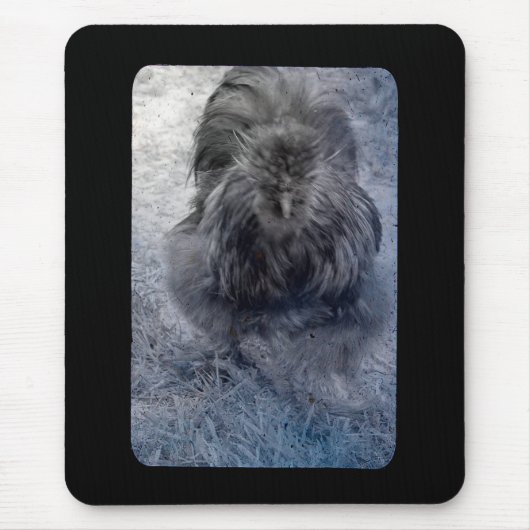 Tapis De Souris M. Fluffy Silkie Rooster 2 (Devant)