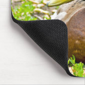 Tapis De Souris M. Mallard le Canard (Coin)