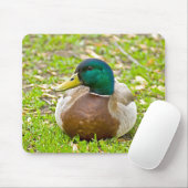 Tapis De Souris M. Mallard le Canard (Avec souris)