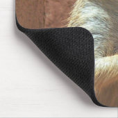 Tapis De Souris M. Meerkat (Coin)